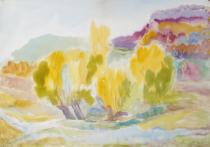 Видлич планина, 1969